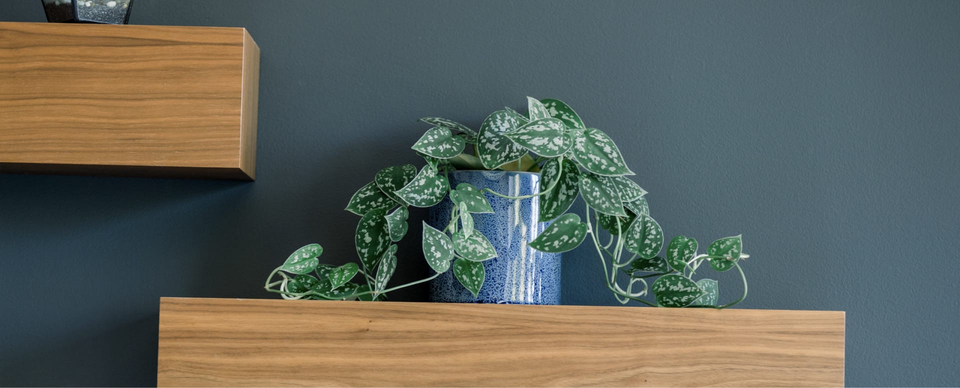home-staging_67