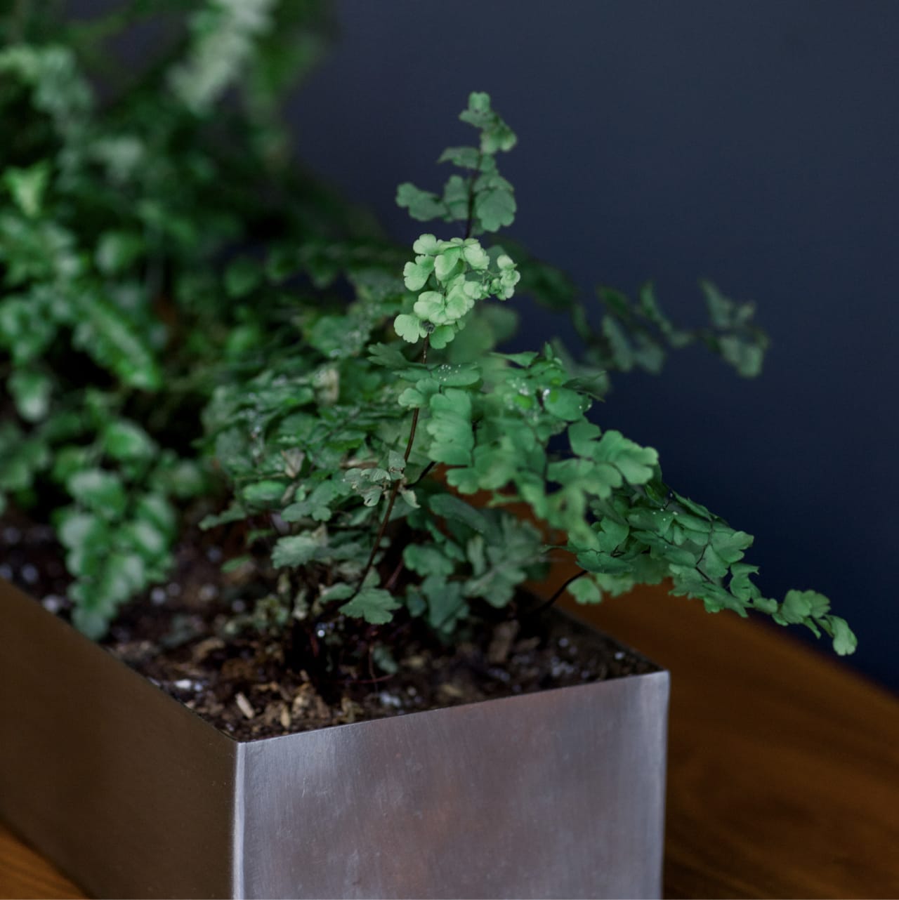 home-staging_70